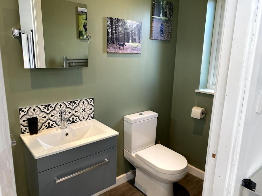 Cosy And Modern 1 Bedroom Garden House - Very Dog Friendly! Tarves Exteriör bild